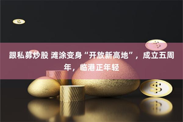 跟私募炒股 滩涂变身“开放新高地”，成立五周年，临港正年轻