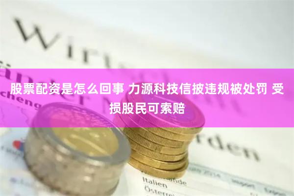 股票配资是怎么回事 力源科技信披违规被处罚 受损股民可索赔