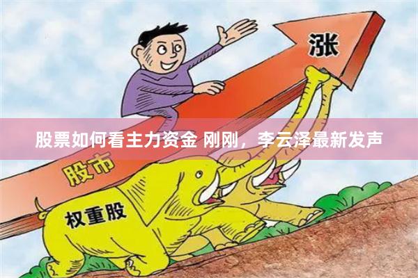 股票如何看主力资金 刚刚，李云泽最新发声