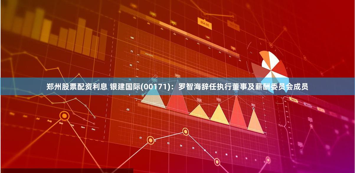 郑州股票配资利息 银建国际(00171)：罗智海辞任执行董事及薪酬委员会成员