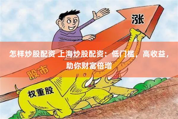 怎样炒股配资 上海炒股配资：低门槛，高收益，助你财富倍增