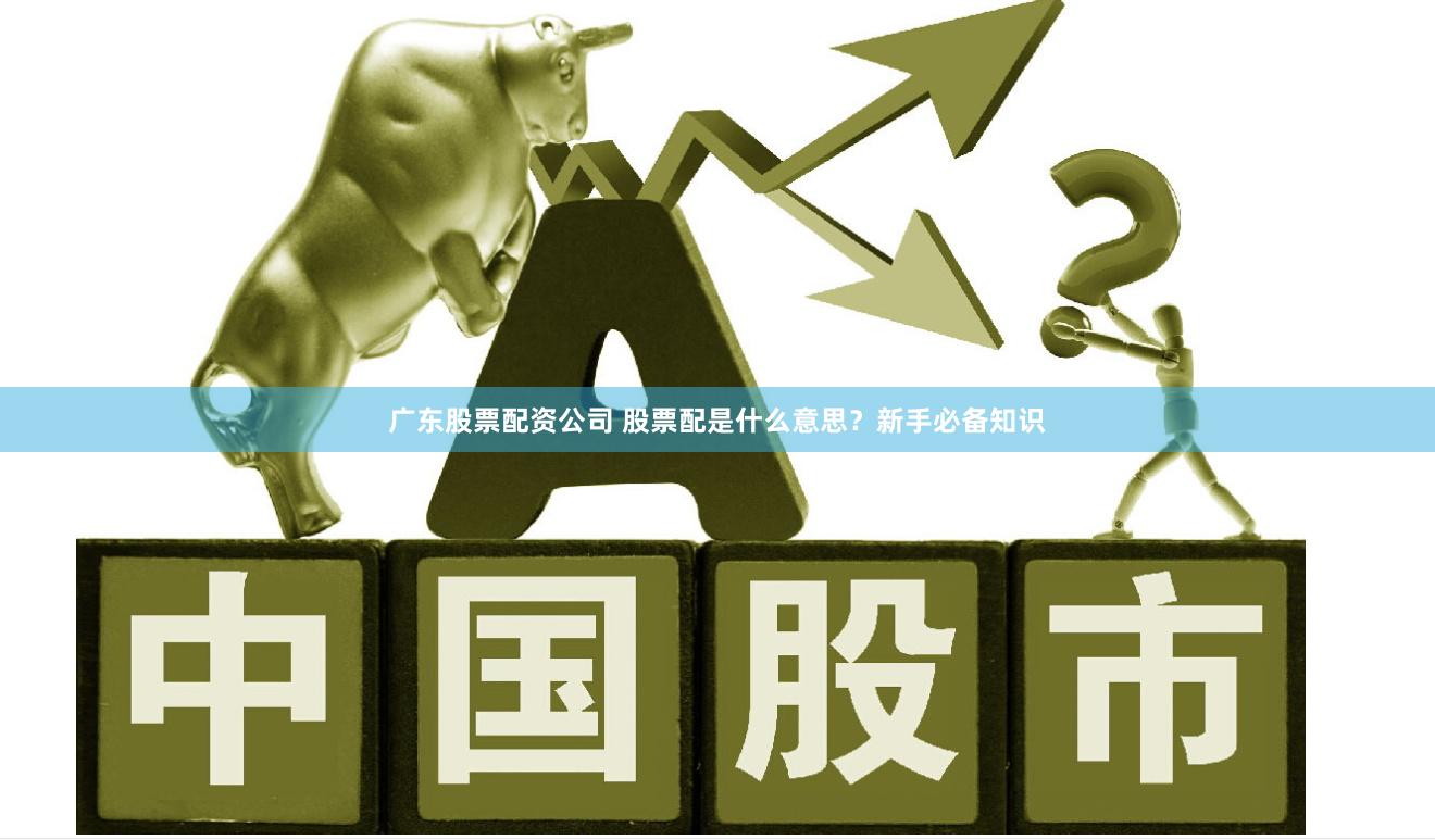 广东股票配资公司 股票配是什么意思？新手必备知识
